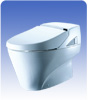 Picture of a Neorest toilet